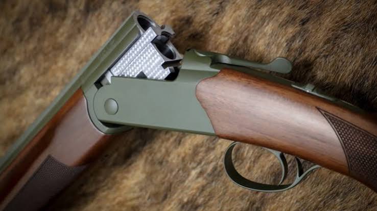 buy cz gun online